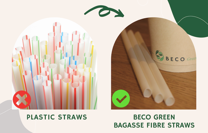 Seeking Sustainable Options: Eco-Friendly Alternatives to Plastic Straws